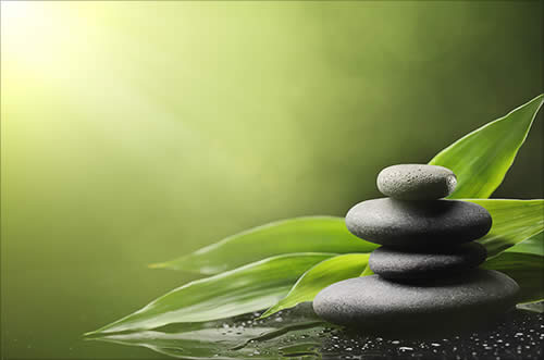 zen rocks and leaves